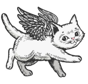 angel cat